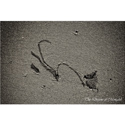 dailyPhoto20